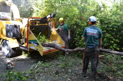 tree services Leo-Cedarville